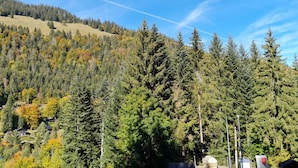 Un paysage montagneux avec de vastes forêts et un ciel dégagé.