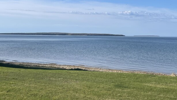 Een kustlandschap met een grasveld op de voorgrond en een rustige zee.