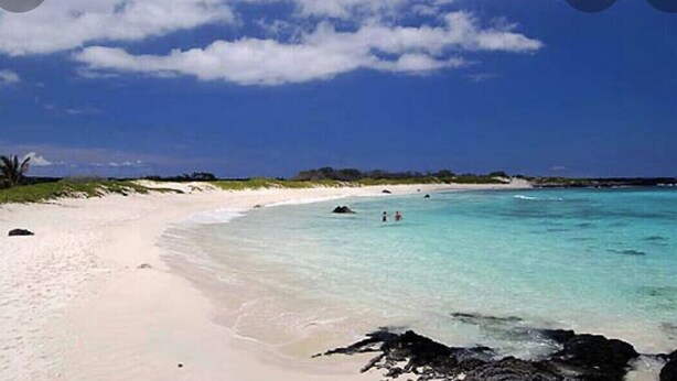 A beach with clear turquoise water, sandy shore, and rocky outcrops.