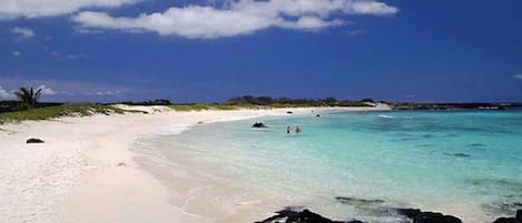 Nära stranden, solstolar och strandhanddukar