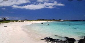 Plage à proximité, chaises longues, serviettes de plage