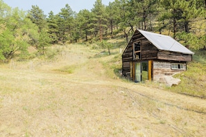 A rustic cabin with a metal roof, situated on a grassy hillside with pine trees in the background.