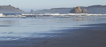 Trillium Bungalow in Arcata