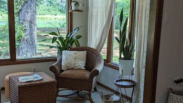 Smart TV, chimenea y monitor de computadora