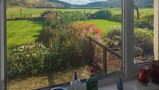A view from a window overlooking a green landscape with hills, a fence, and a variety of plants and flowers. - Craik Forestry Cottage (Craik, near Hawick)