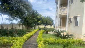 A paved pathway flanked by well-maintained hedges and tropical plants, leading to a building with a balcony and classical architectural details. -  Manoir Des Innoncents (Bafoussam)
