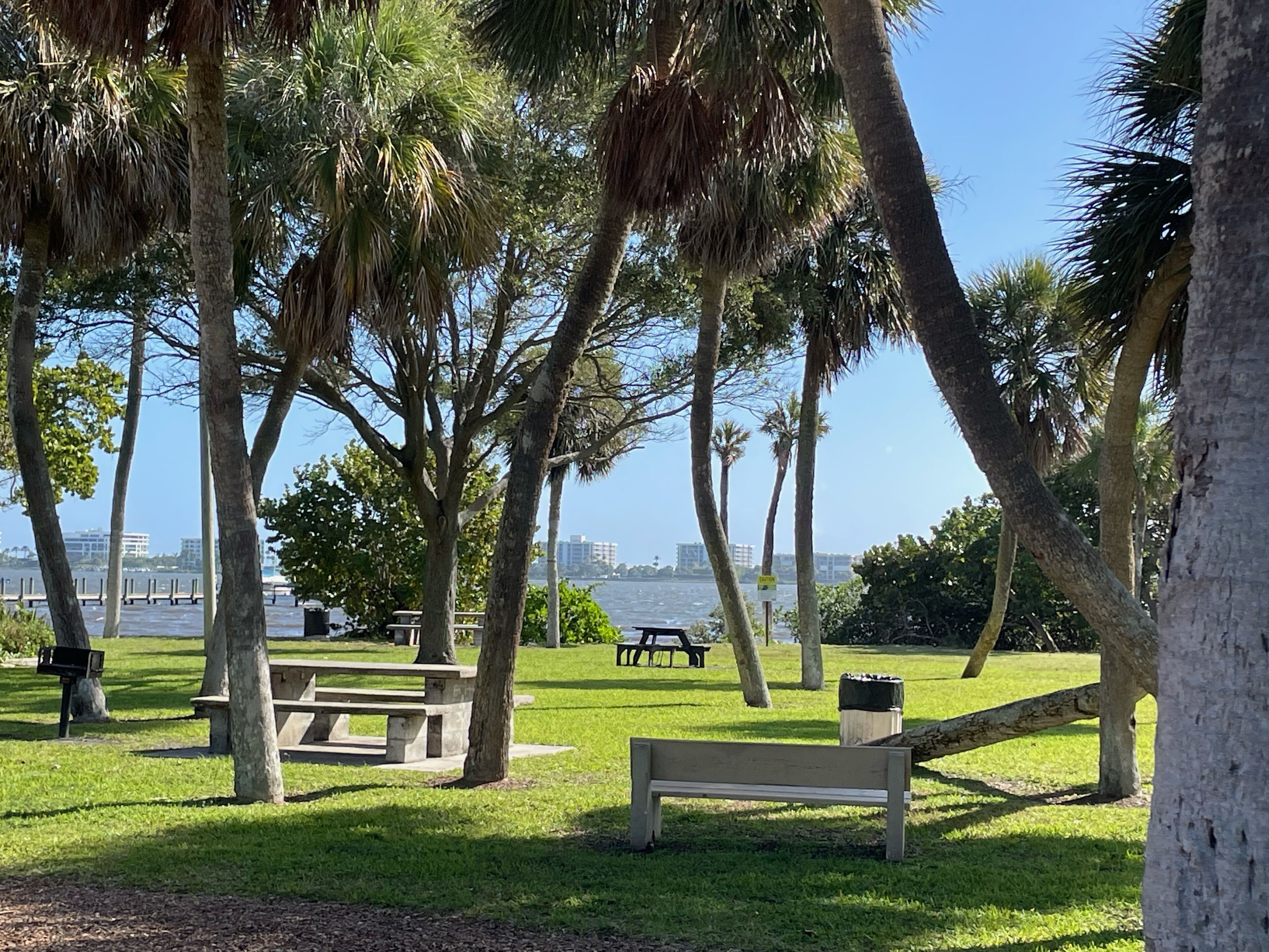 A park with benches, picnic tables, and palm trees.