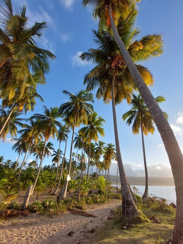 Beach nearby - 2 Bedroom w/ King beds Steps from the Beach (Las terrenas)