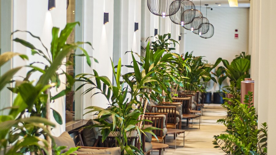 DoubleTree by Hilton - Resort - Foz do Iguaçu