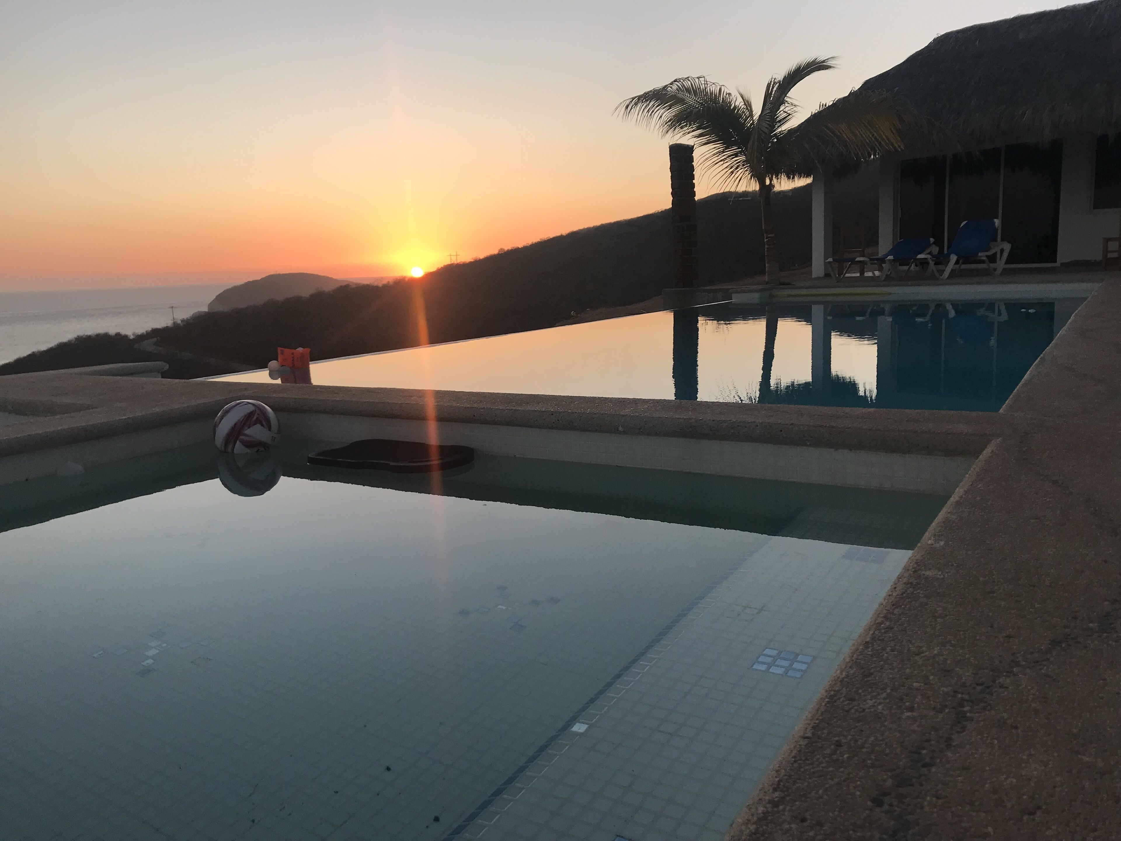 Une piscine avec vue sur le coucher de soleil, un palmier et des chaises longues.