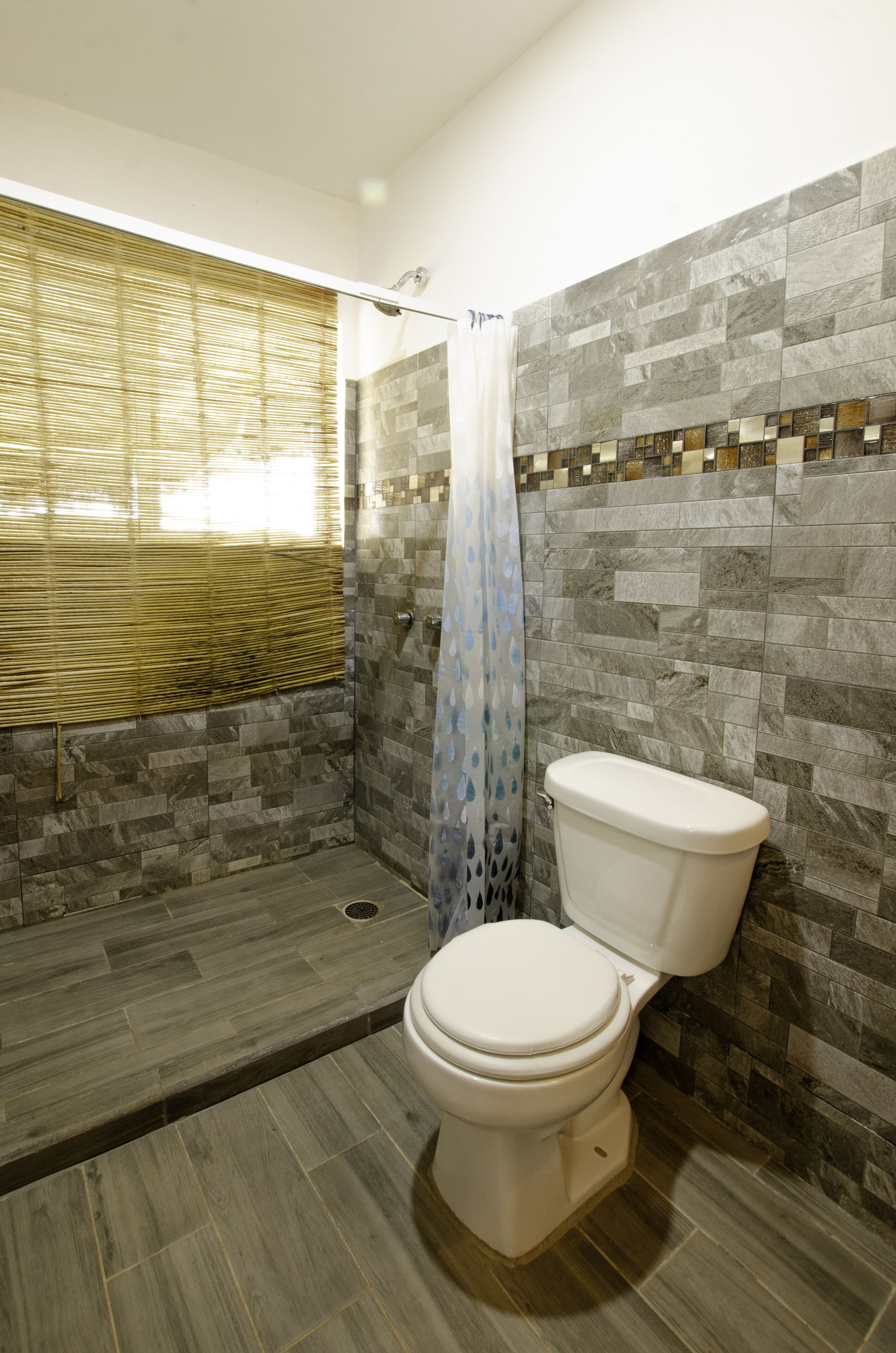 Une salle de bain avec douche, toilettes et murs carrelés.