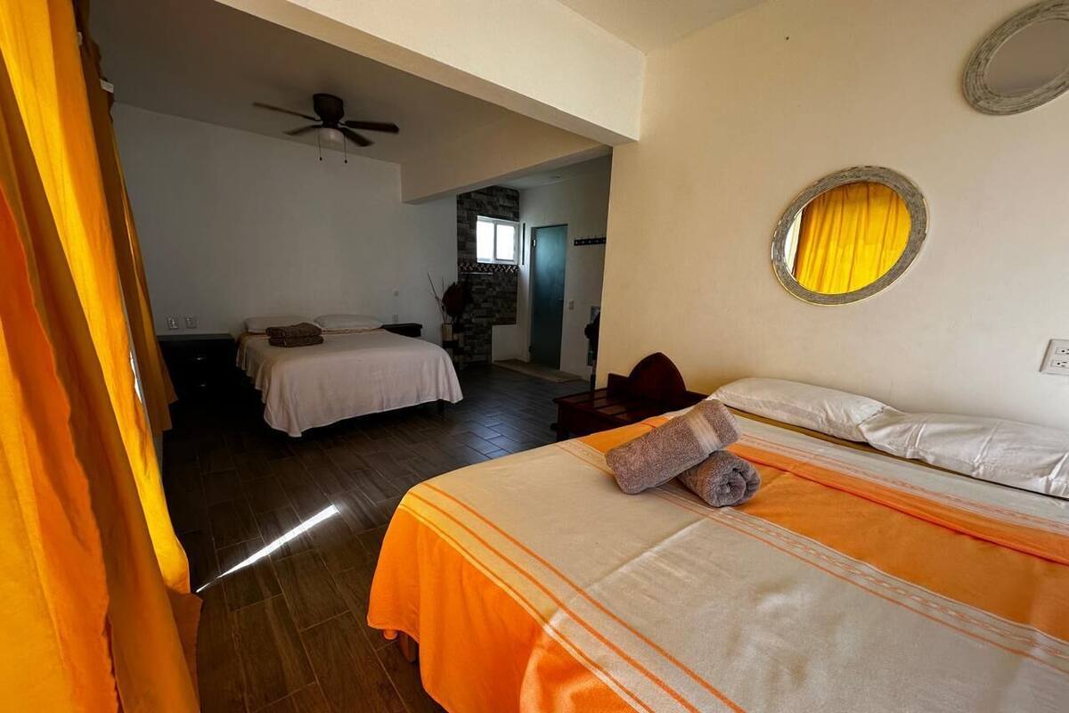 Une chambre d’hôtel avec un lit, un ventilateur de plafond et un miroir au mur.