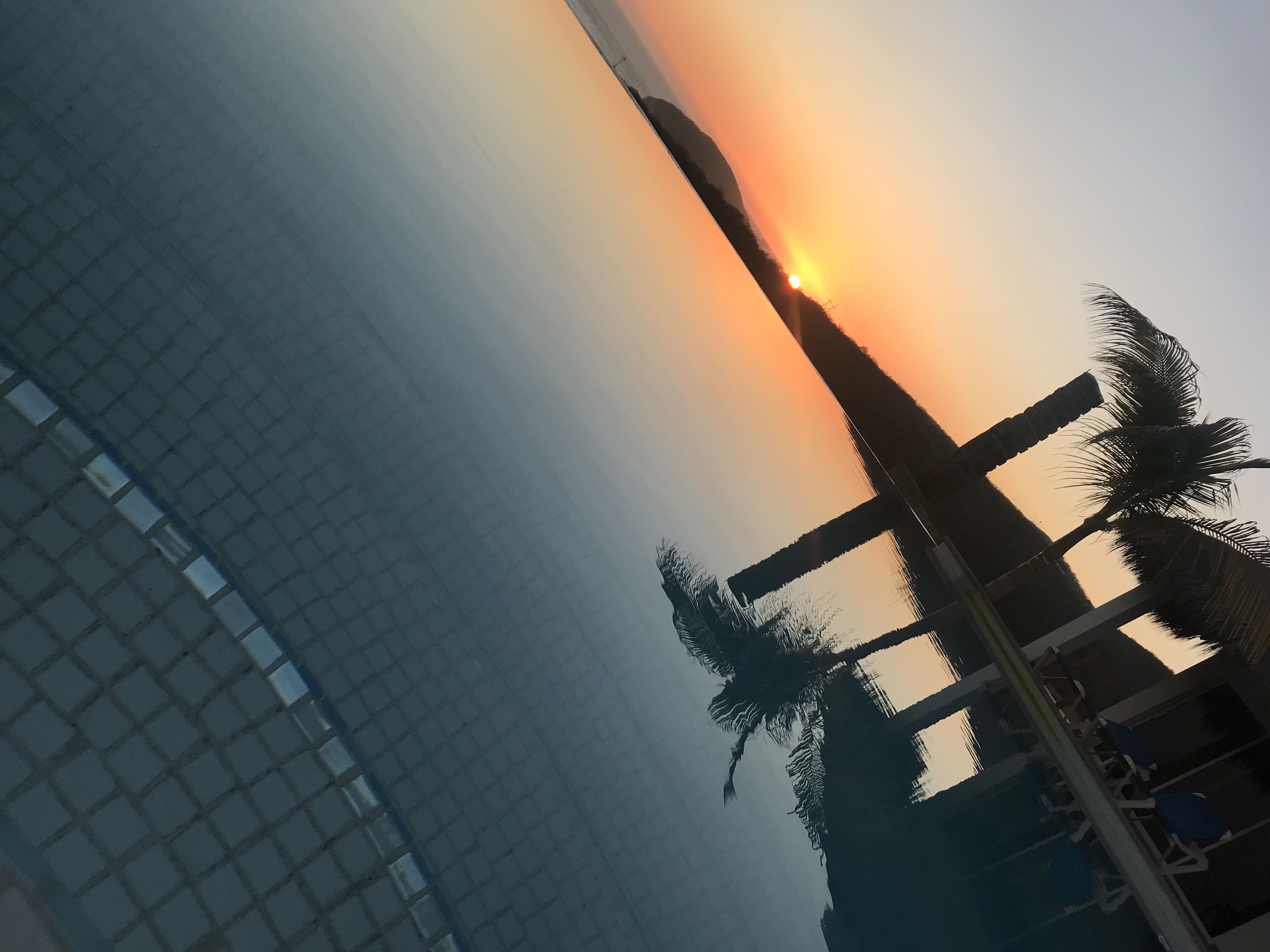 Ein Sonnenuntergang mit der Silhouette einer Palme vor einer Gebäudefassade.