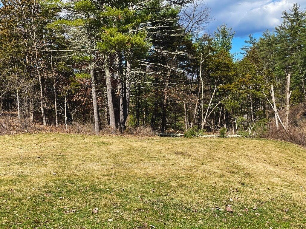 A grassy field with trees in the background.
