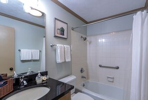 Bañera, secador de pelo, toallas