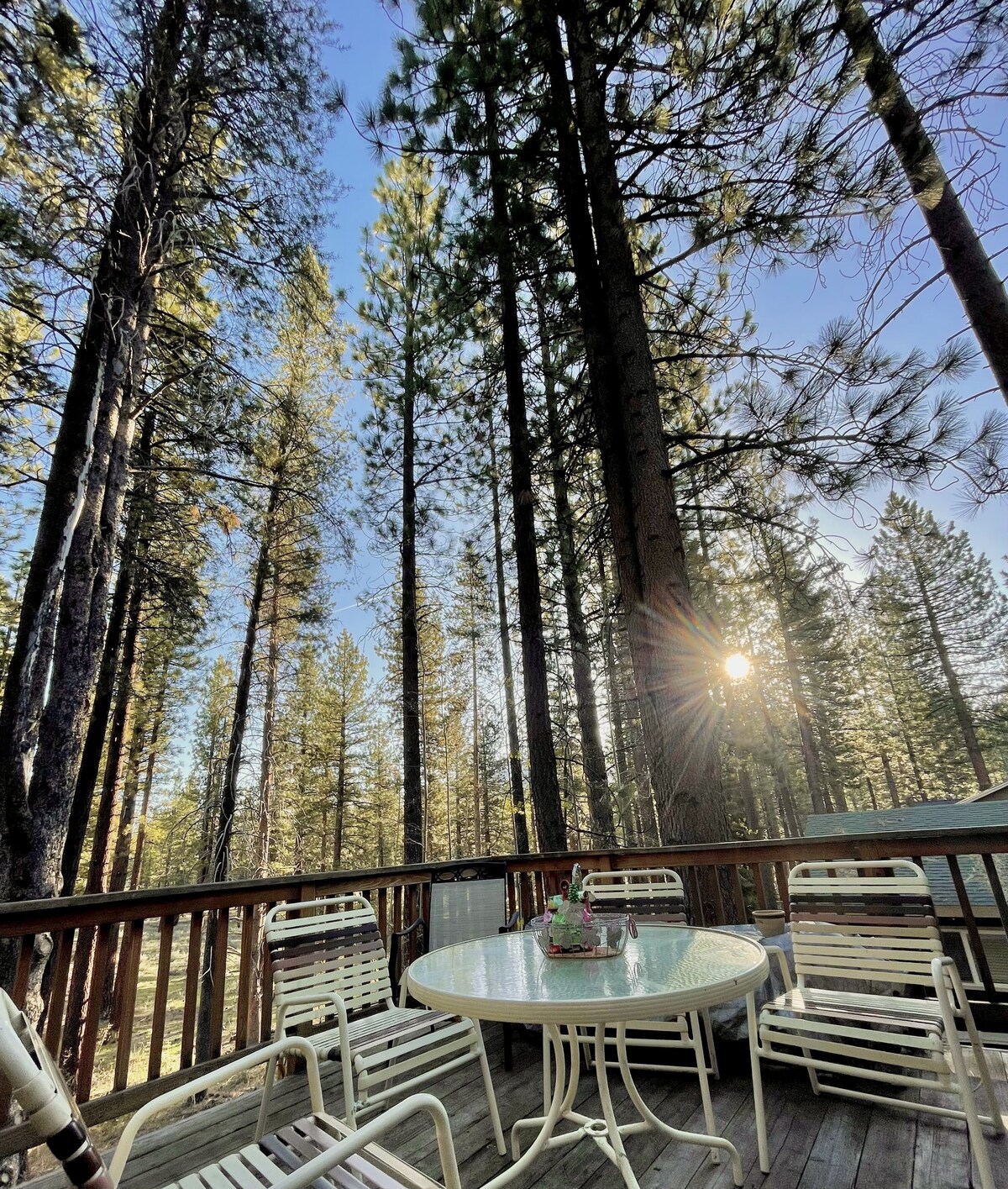 Bild für Gastgeberprofil