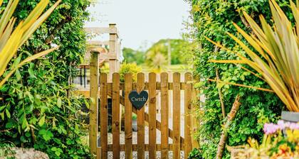 Cwtch Enrico - UK39064