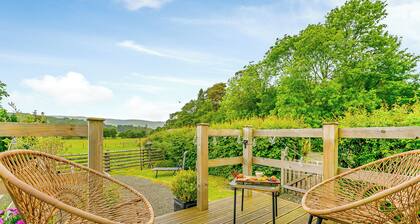 Cwtch Enrico - UK39064