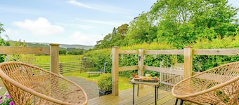 Cwtch Enrico - UK39064