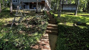 A wooden house with a porch, surrounded by dense greenery and trees. - Cozy Cabin with Screened Porch and Fishing Dock on Lake D'Arbonne (Downsville)