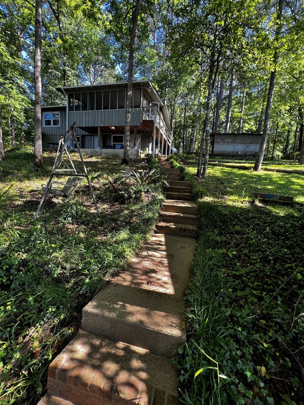 A wooden house with a porch, surrounded by dense greenery and trees.