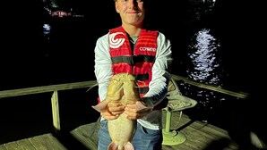 A person holding a fish on a wooden dock at night.