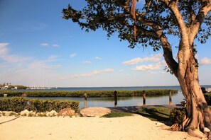 Beach - Bay sunsets and dockage (Key Largo)