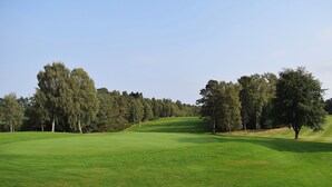 Un parcours de golf bien entretenu, avec un ciel dégagé, une herbe verte et luxuriante et de grands arbres.