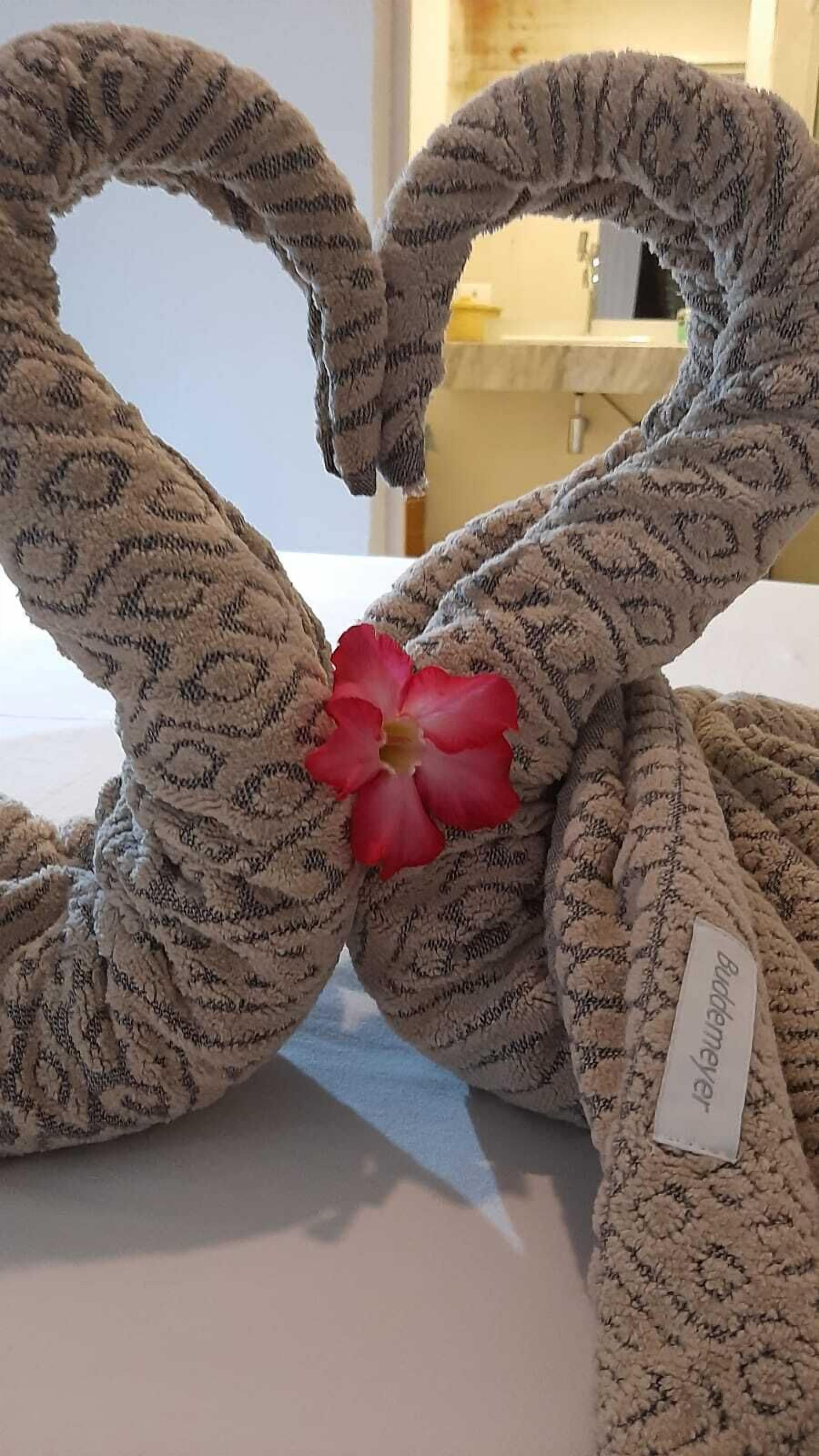 Photo - Pousada Recanto Ha Mar