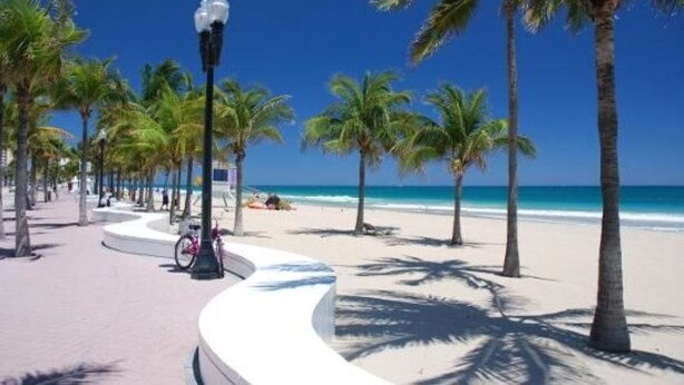 A curved white pathway lined with palm trees and a bicycle, leading to a beach with clear blue water. - Newly Remodeled Home with Spacious Backyard! (Fort Lauderdale)