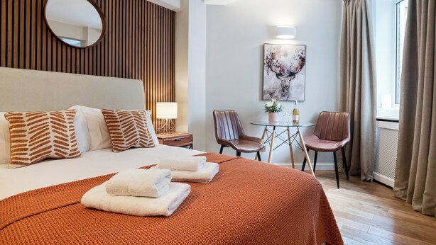 Habitación de hotel con una cama grande, un espejo redondo, un cuadro, dos sillas, una mesita con una planta y una ventana con cortinas.