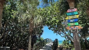 A pathway lined with palm trees leading to a beach. - Beautiful Pool Home, 6 Min. to Beaches, Sleeps 8, Great for Families! (Largo)