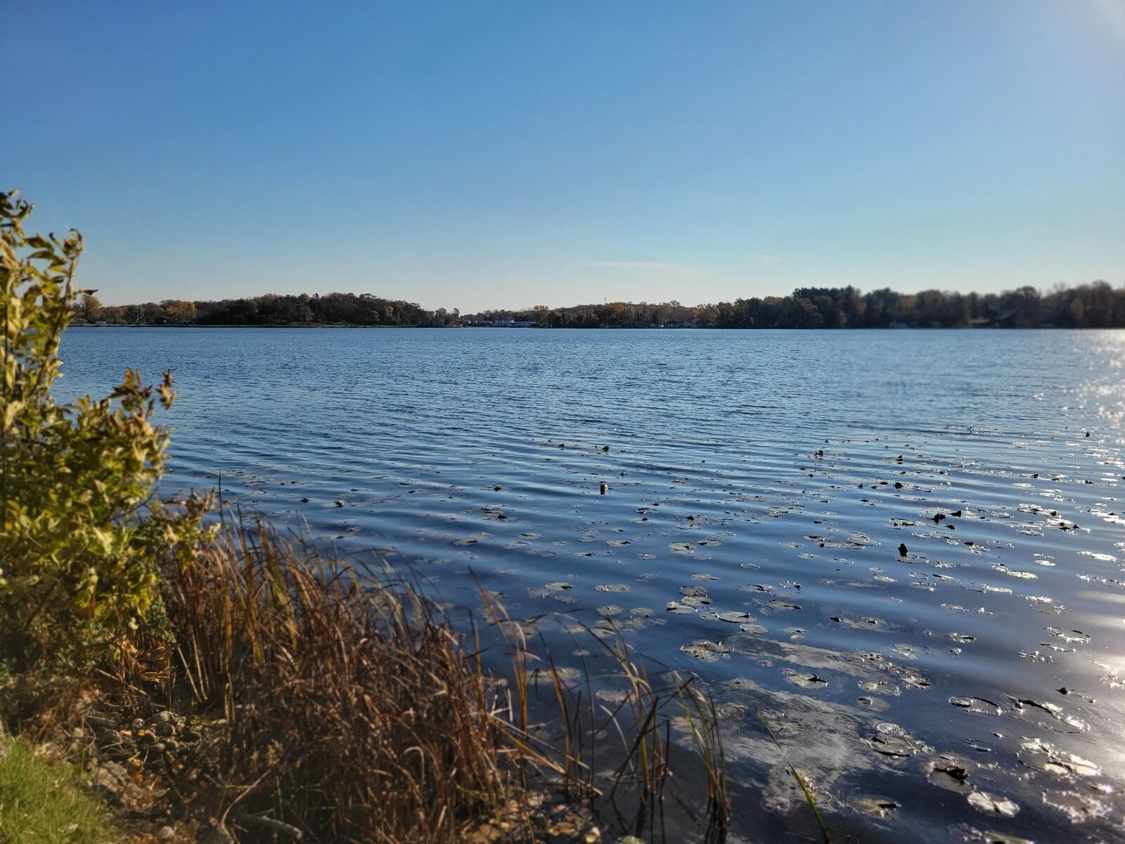 Ein ruhiger See mit klarem Wasser, umgeben von Bäumen und Pflanzen.