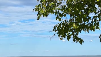 Playa en los alrededores, camastros y toallas de playa