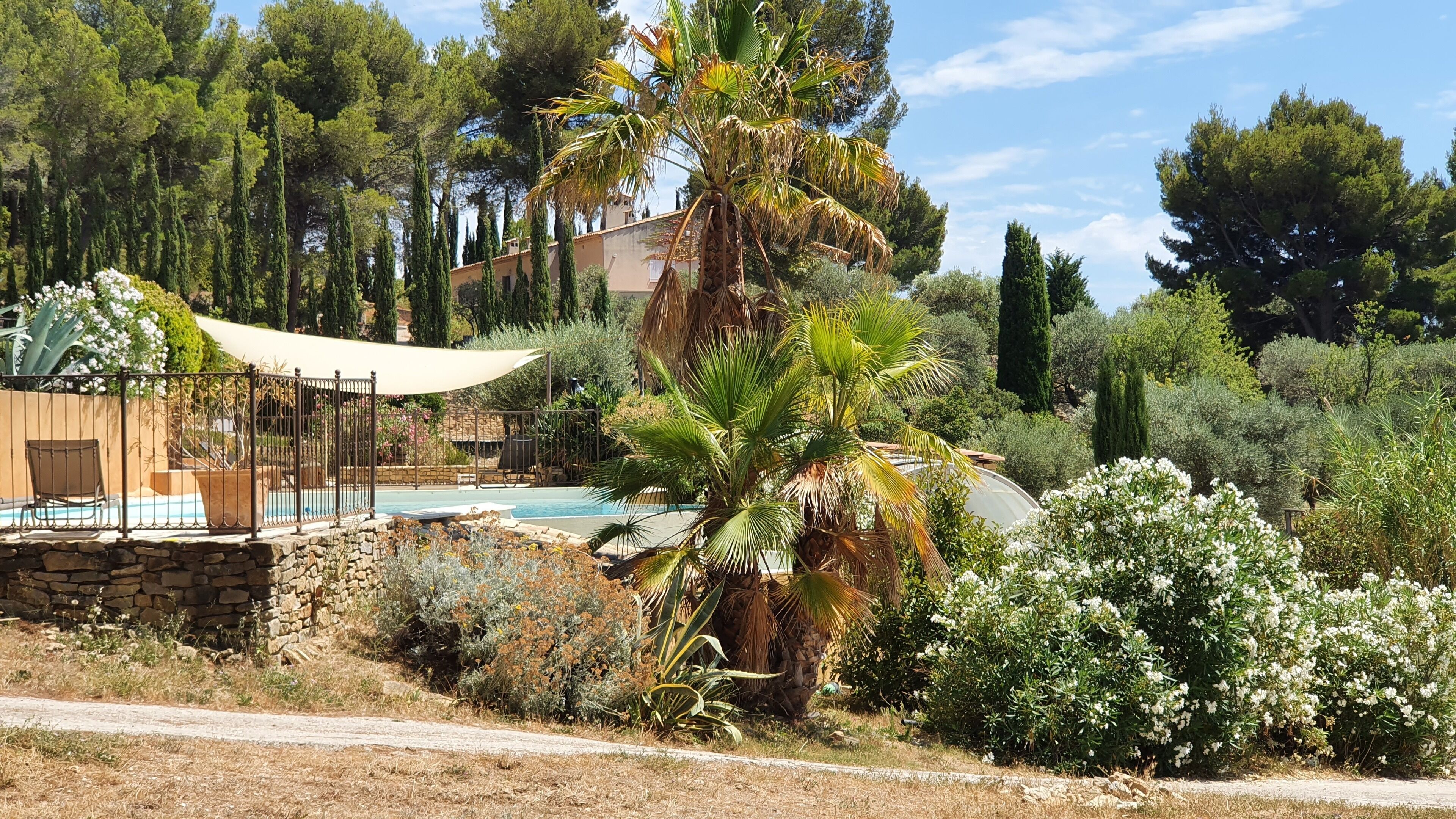 Une piscine entourée d’une variété de plantes et d’arbres, avec un mur de pierre et une clôture au premier plan.
