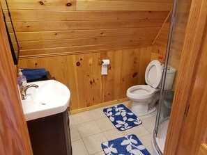 Shower, towels, shampoo, toilet paper