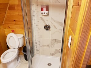 Shower, towels, shampoo, toilet paper