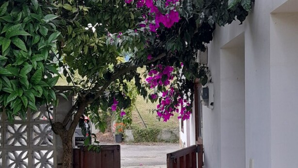A narrow pathway leading to a gated entrance, surrounded by lush greenery and vibrant pink flowers. - Gestiona2R. House on the coast of Llanes for 8 people (Llanes)