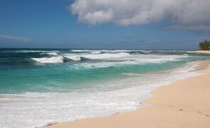 Camastros y toallas de playa 