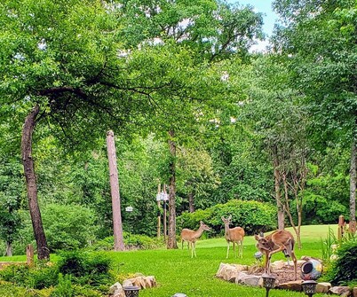 Little Getaway Paradise on the Golf Course w/Resort Amenities!