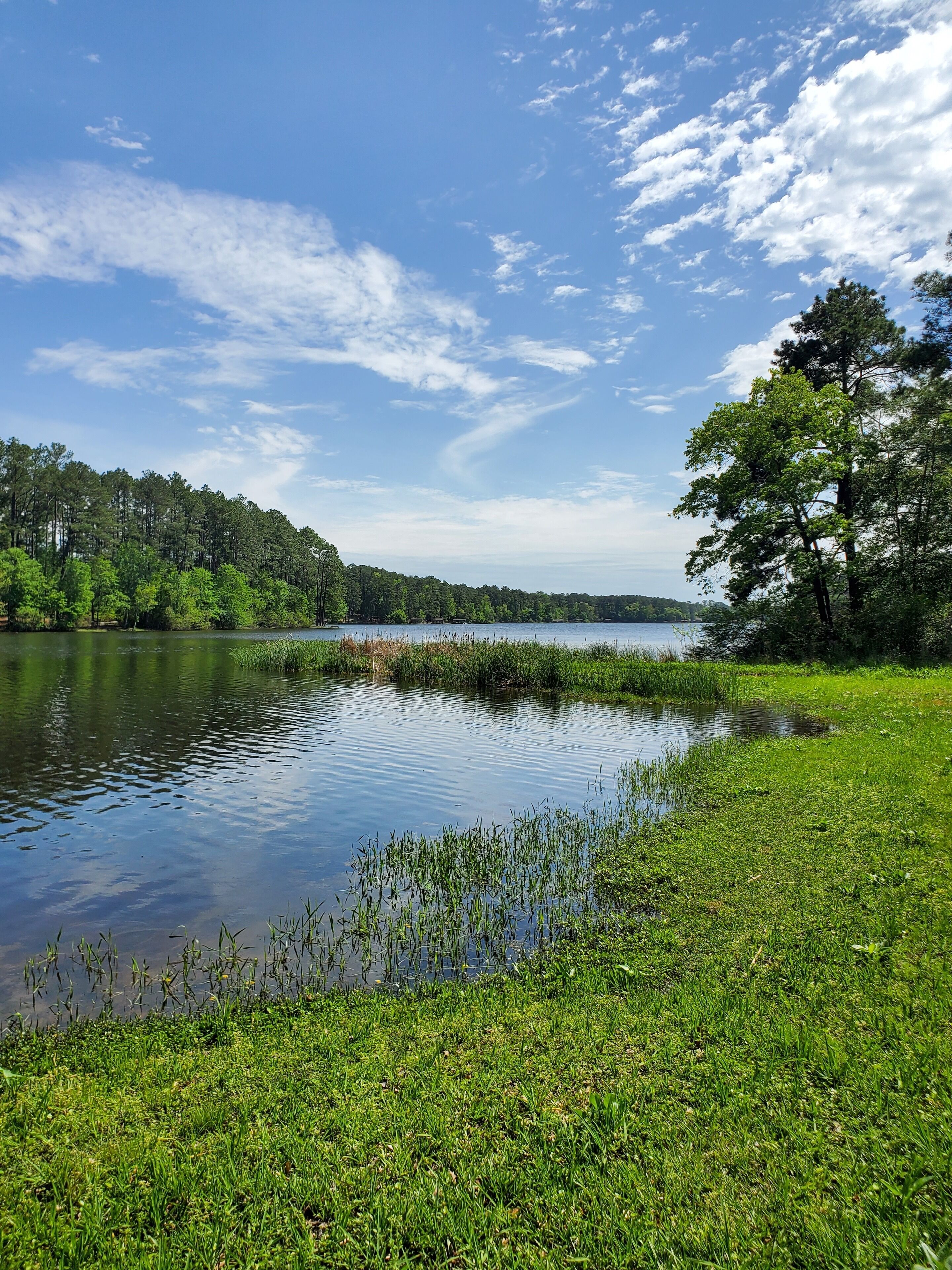 A serene lakeside landscape with a grassy shoreline, trees, and a clear sky.