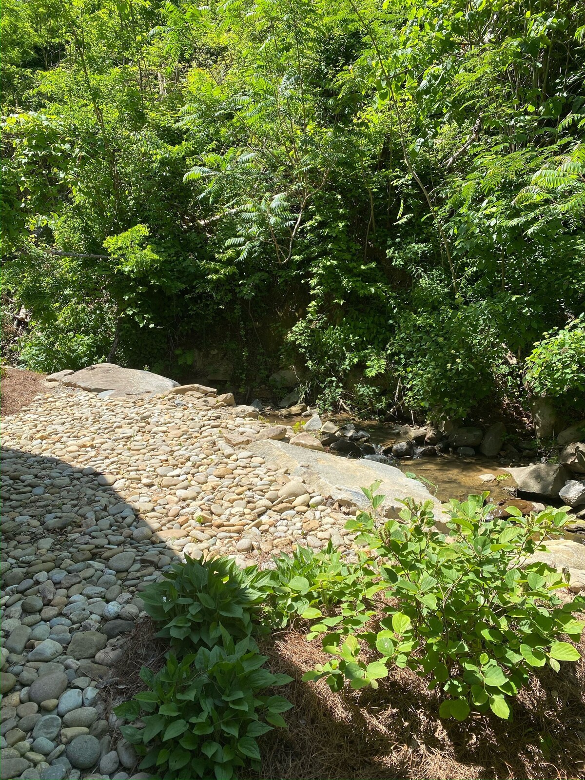 Photo 26 of Rushing Creek Sounds + Early Check-In+ HotTub + Dtown Edge + GSMNP+ King Bds