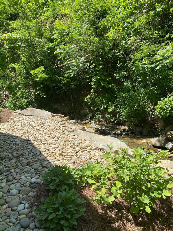 Un paisaje natural con un arroyo, rocas y abundante vegetación.