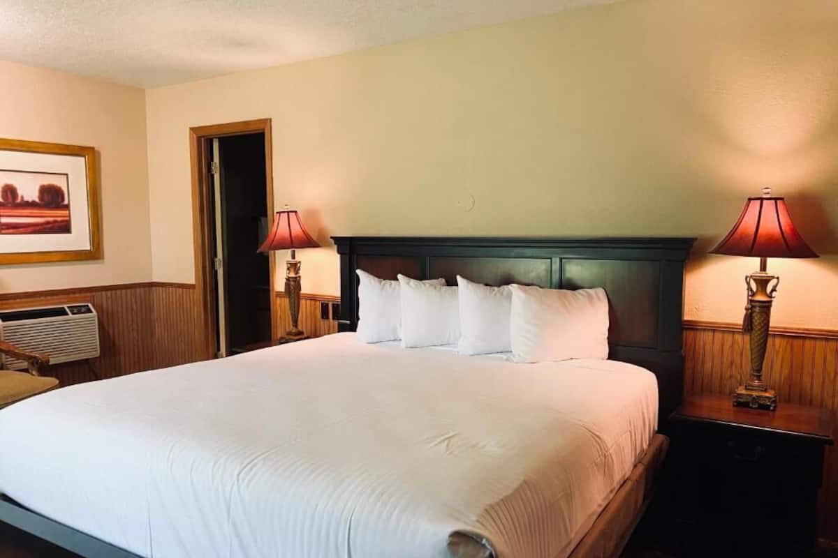 Habitación de hotel con una cama grande, dos lámparas de noche, un cuadro enmarcado en la pared y un equipo de aire acondicionado.