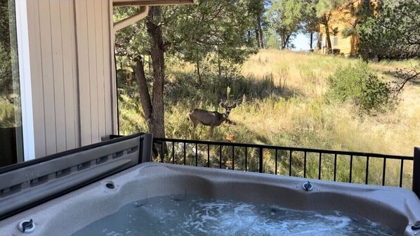 Relax in a hot tub on a balcony overlooking a serene natural landscape.