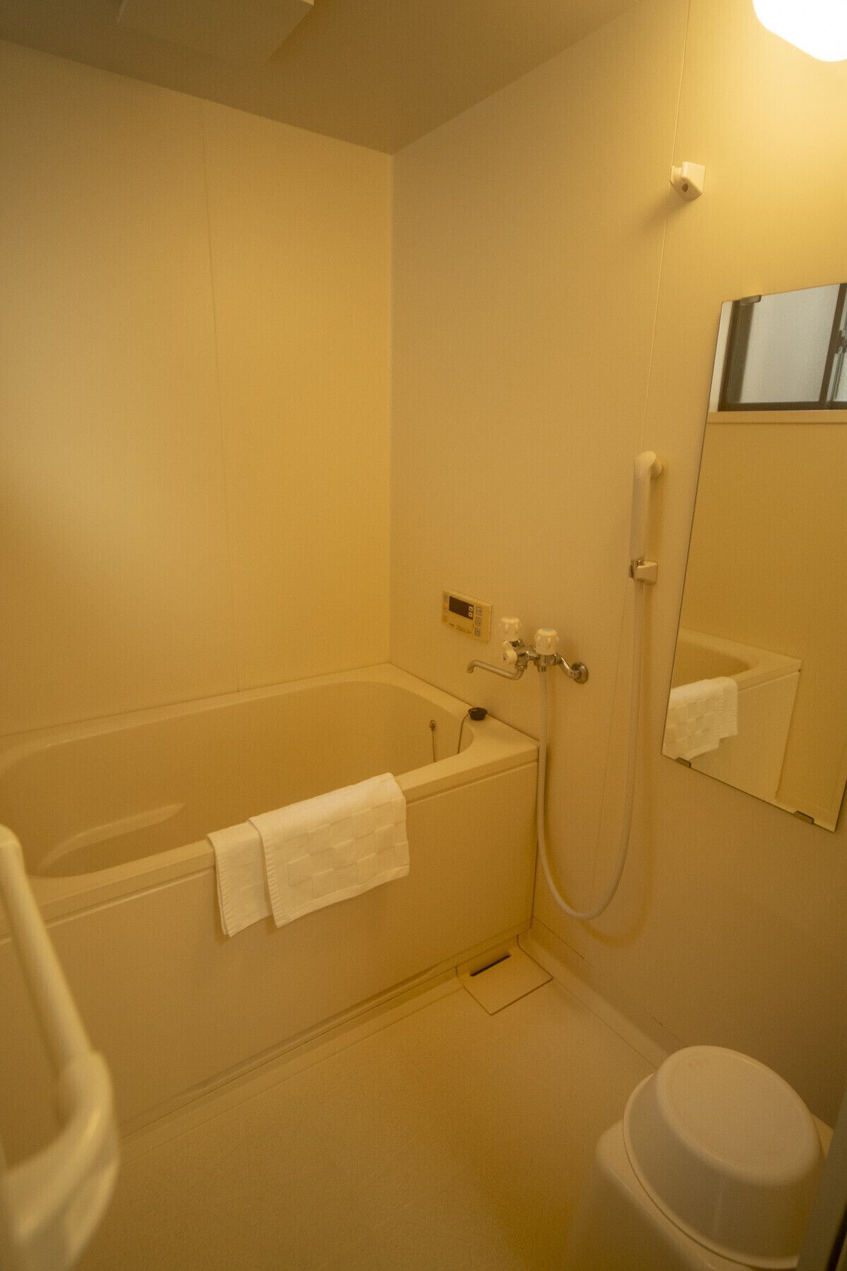 A bathroom with a bathtub, a toilet, and a mirror.