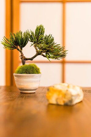 内装の詳細