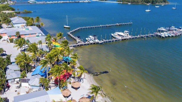 A marina with boats docked, a pier extending into the water, and a beach area with umbrellas and palm trees.