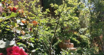 Quiet house with private garden, 50 km from Marrakesh