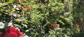 Quiet house with private garden, 50 km from Marrakesh